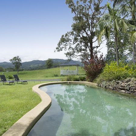 ฮิลล์เครสต์ เมาน์เทน วิว รีทรีต Bed & Breakfast Crystal Creek ภายนอก รูปภาพ