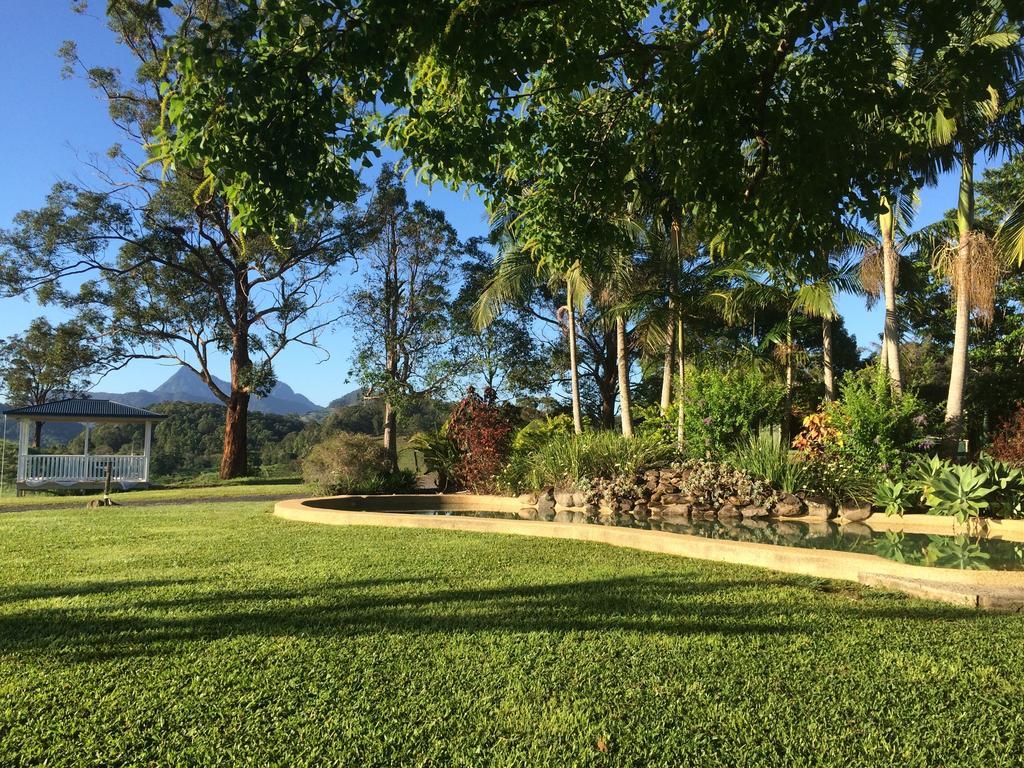 ฮิลล์เครสต์ เมาน์เทน วิว รีทรีต Bed & Breakfast Crystal Creek ภายนอก รูปภาพ