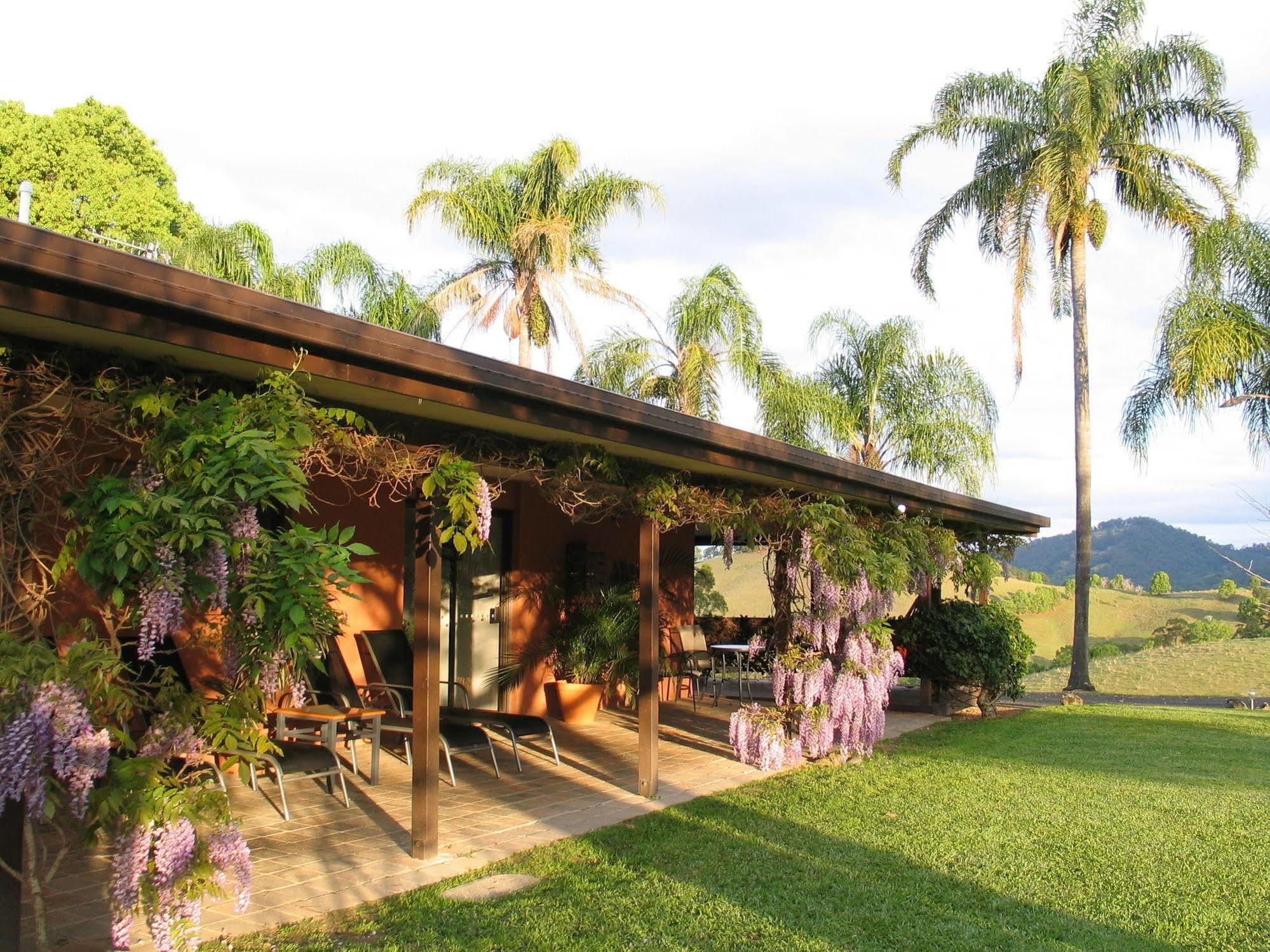 ฮิลล์เครสต์ เมาน์เทน วิว รีทรีต Bed & Breakfast Crystal Creek ภายนอก รูปภาพ