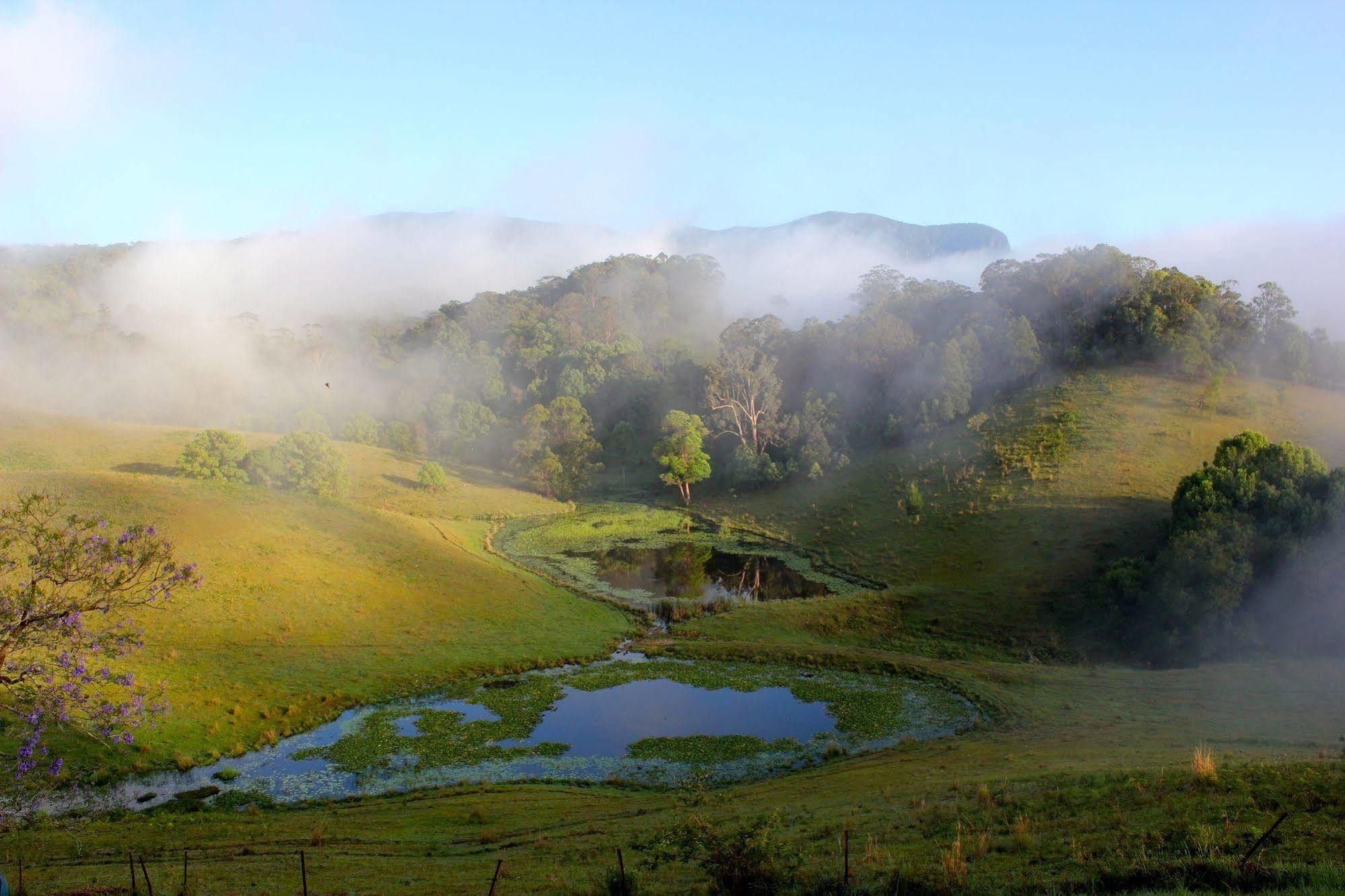 ฮิลล์เครสต์ เมาน์เทน วิว รีทรีต Bed & Breakfast Crystal Creek ภายนอก รูปภาพ