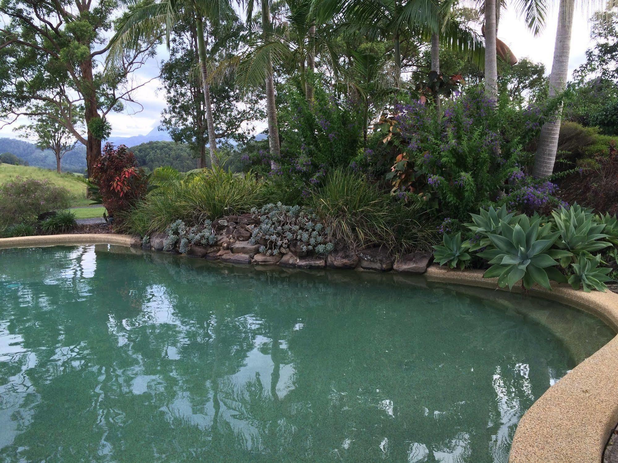 ฮิลล์เครสต์ เมาน์เทน วิว รีทรีต Bed & Breakfast Crystal Creek ภายนอก รูปภาพ