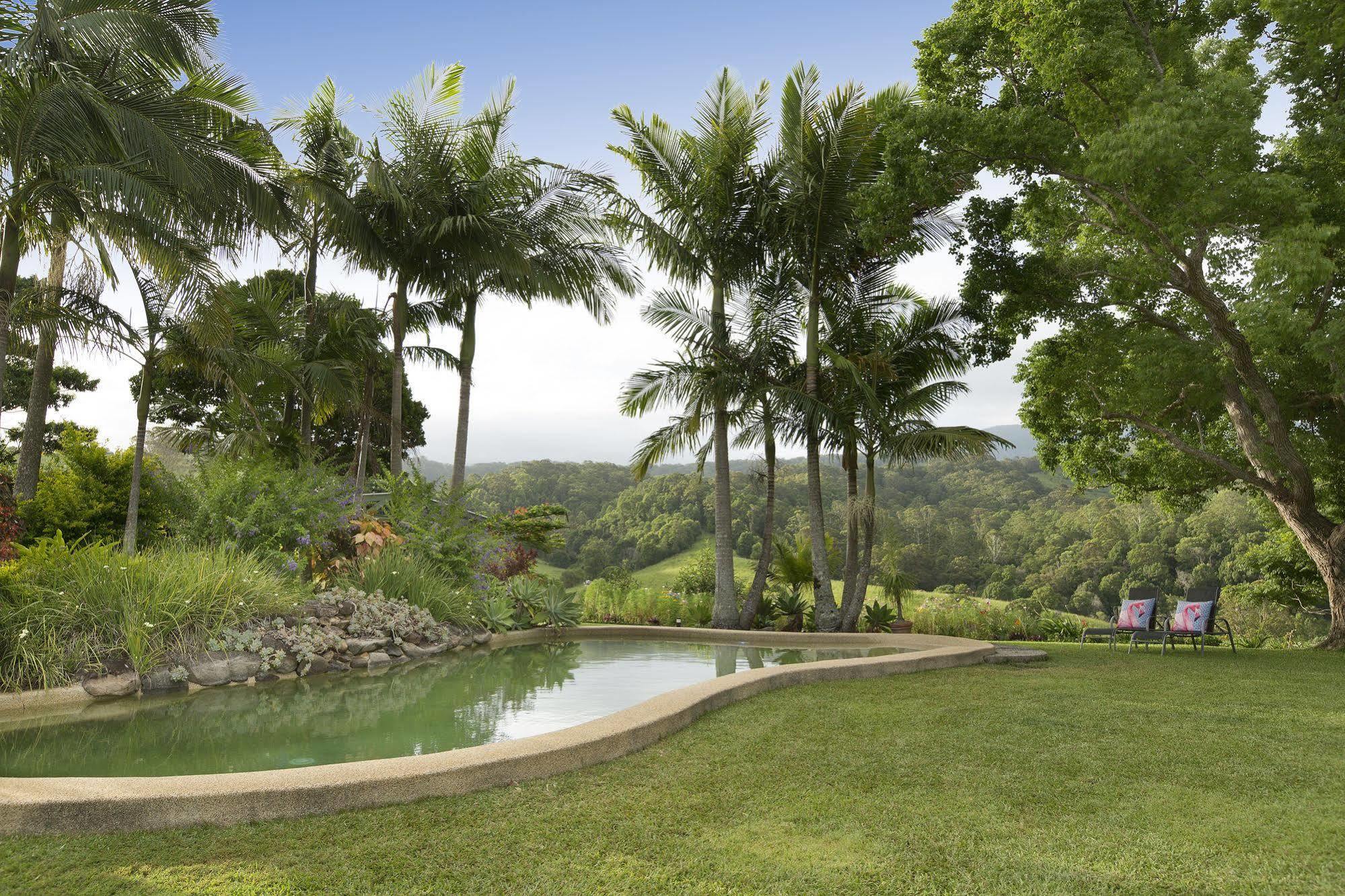 ฮิลล์เครสต์ เมาน์เทน วิว รีทรีต Bed & Breakfast Crystal Creek ภายนอก รูปภาพ