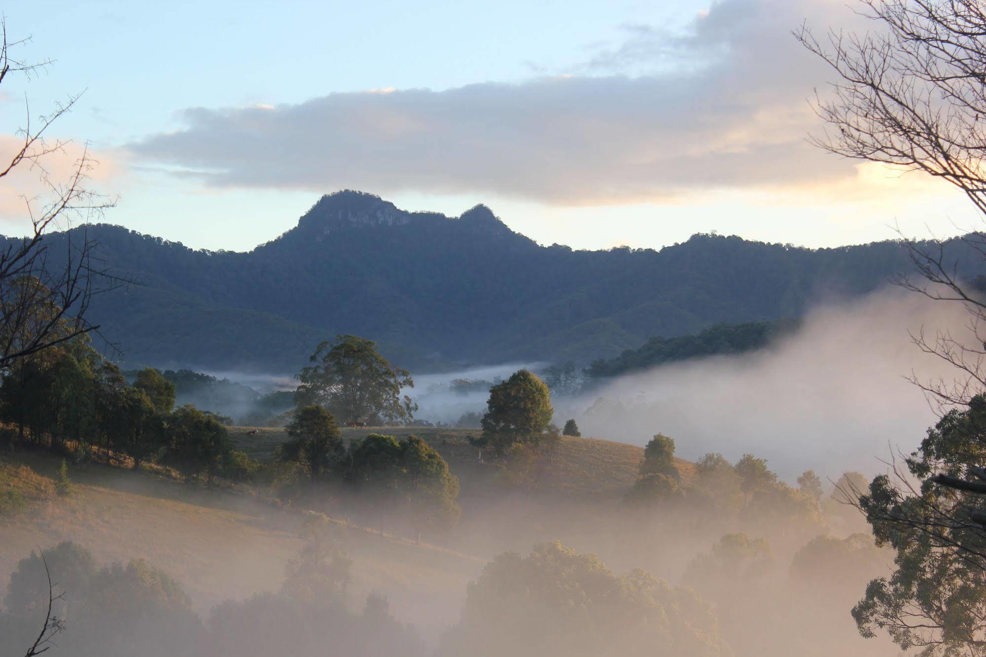 ฮิลล์เครสต์ เมาน์เทน วิว รีทรีต Bed & Breakfast Crystal Creek ภายนอก รูปภาพ