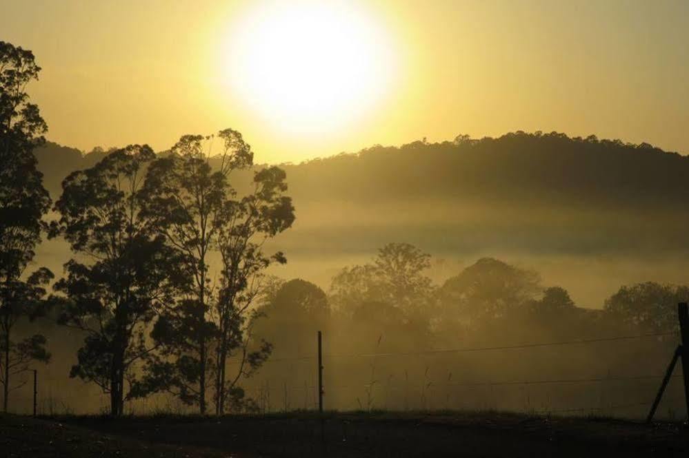 ฮิลล์เครสต์ เมาน์เทน วิว รีทรีต Bed & Breakfast Crystal Creek ภายนอก รูปภาพ